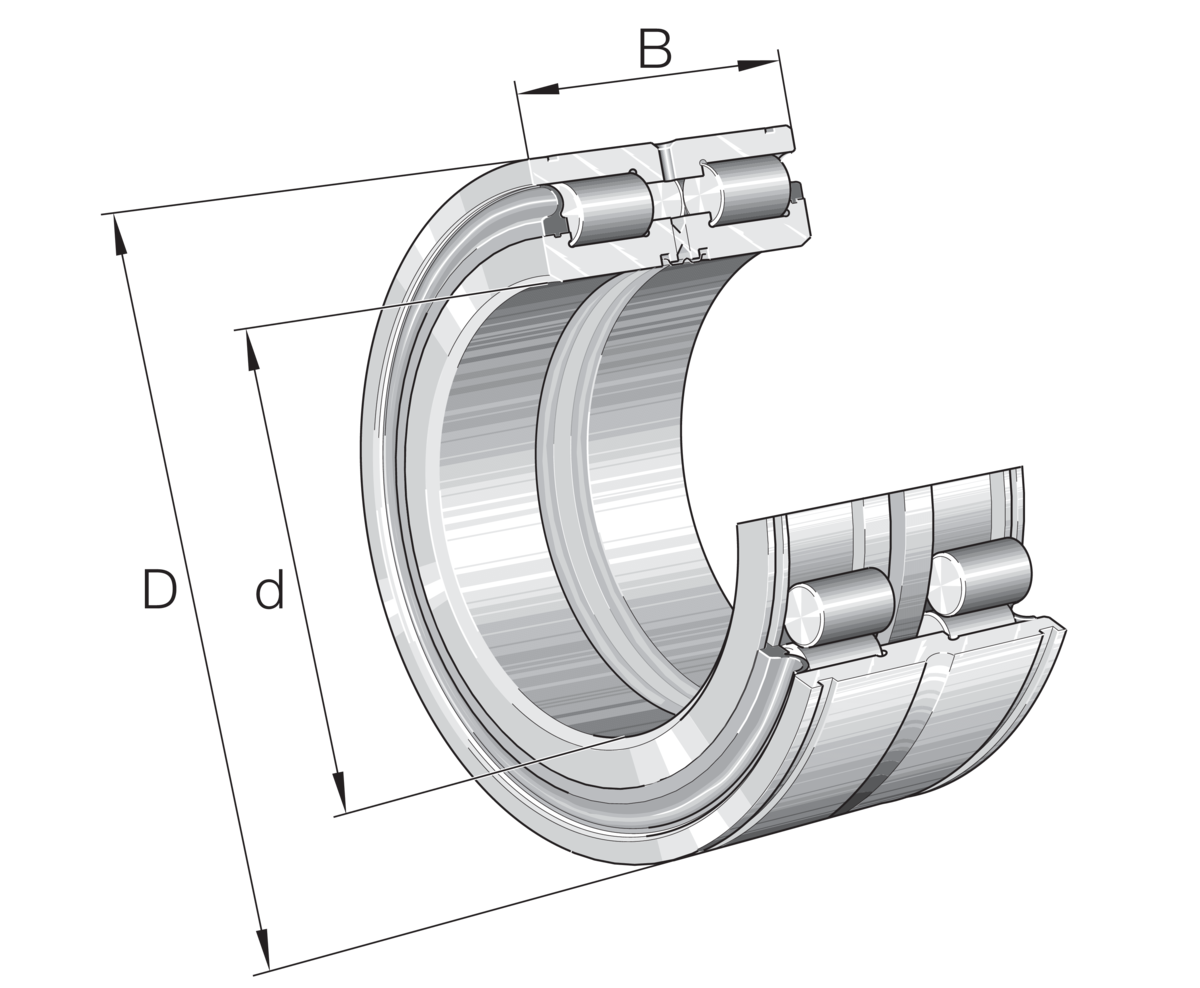 INA SL045016-D-PP RULMAN