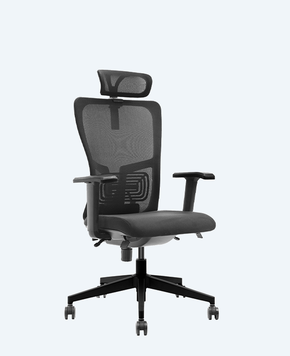 Lumbar Plus Siyah