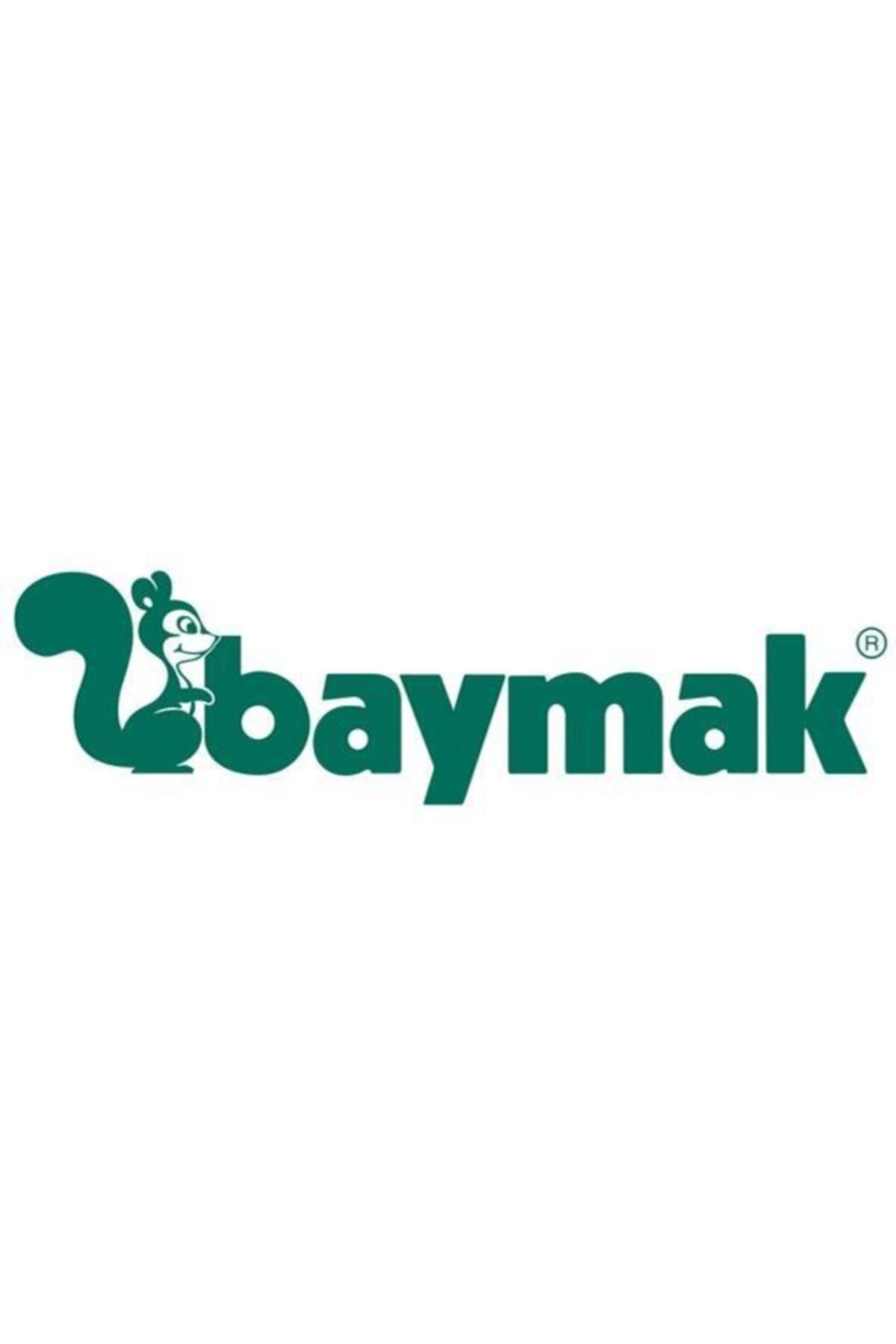 Baymak Logı Dijital Kablosuz Oda Termostatı
