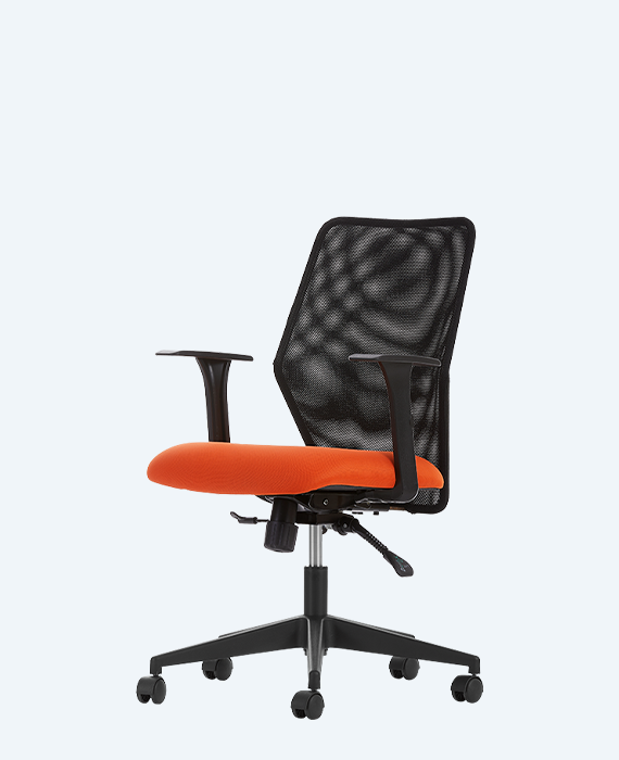 Decofis Zeno Bekleme Sandalyesi