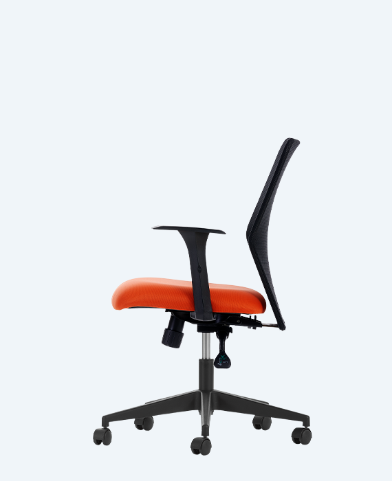 Decofis Zeno Bekleme Sandalyesi
