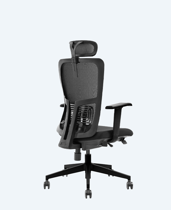 Lumbar Plus Siyah