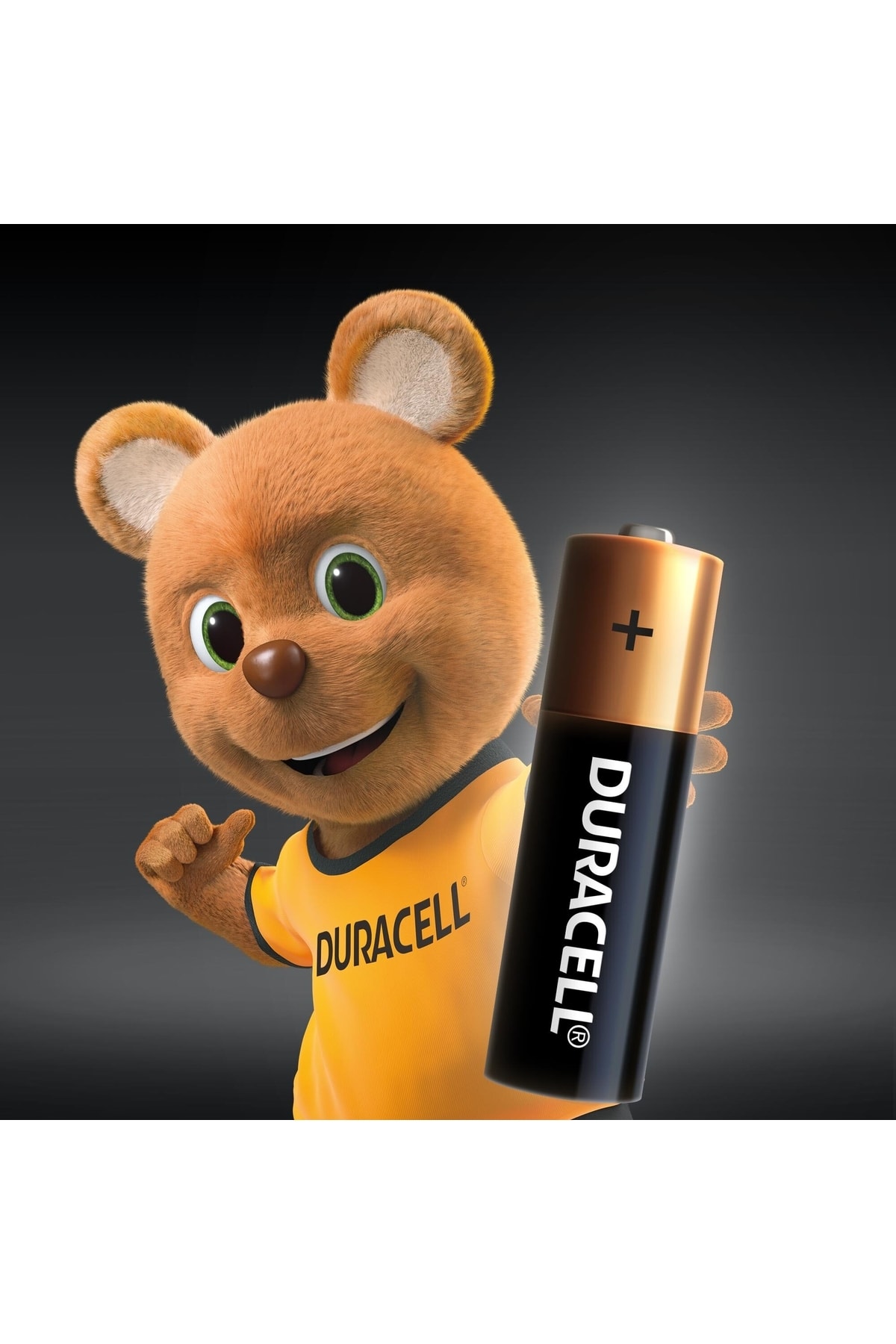 Duracell Alkalin Aa Kalem Piller 10'lu Alkalin Aaa Ince Kalem Piller 10'lu +2032 Lityum Düğme Pil 3V 4'lü Paket