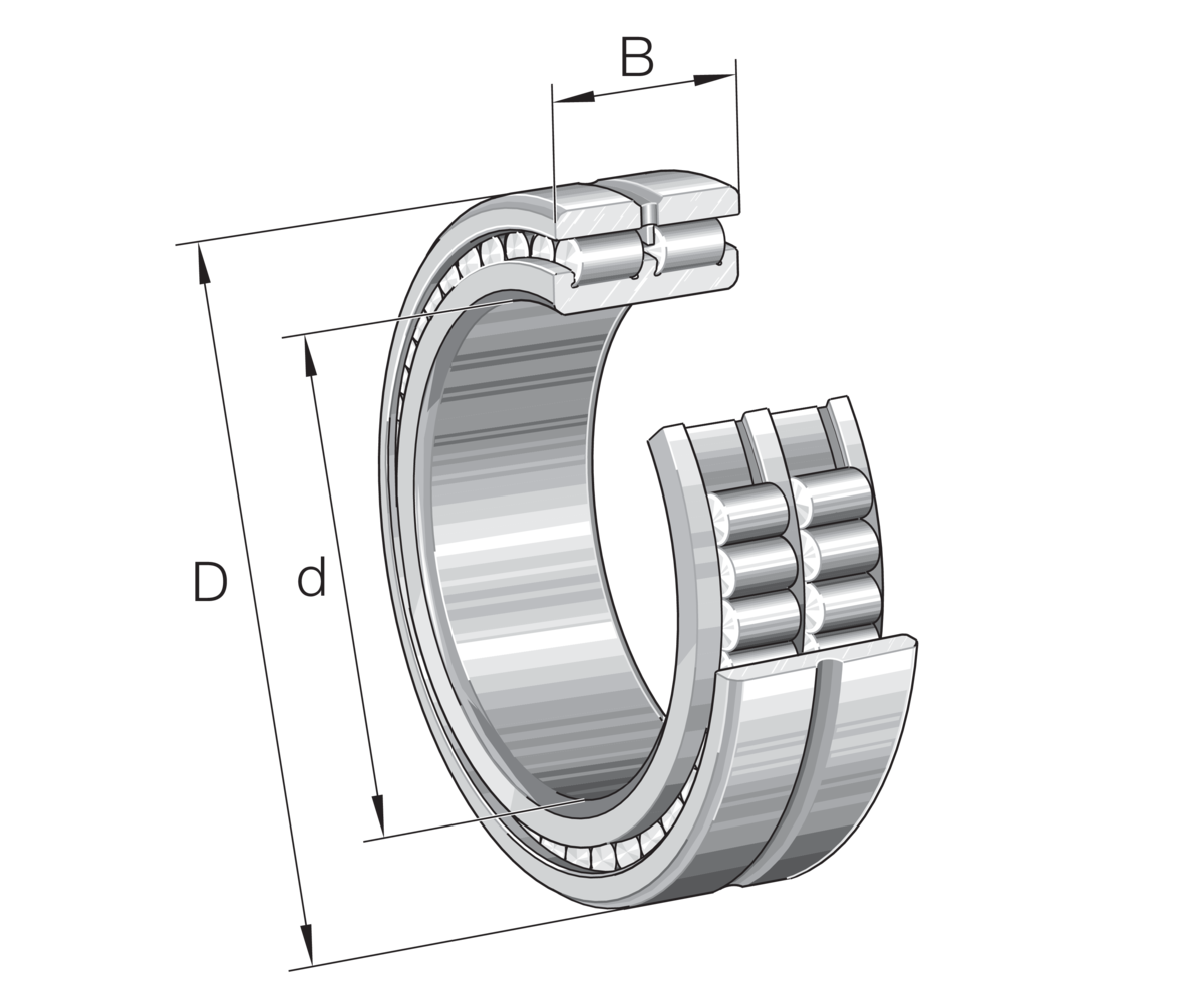 INA SL024918-A RULMAN