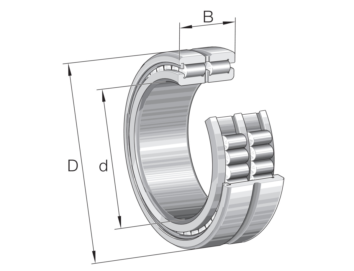 INA SL185012-A-C3 RULMAN