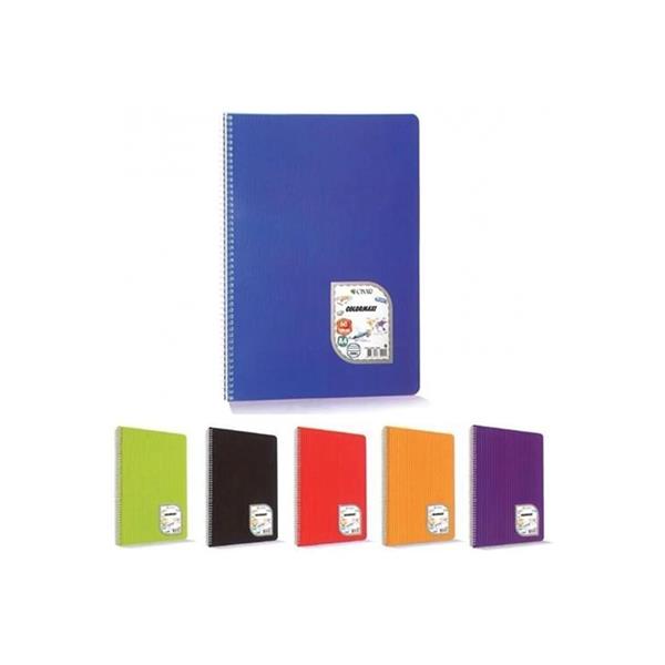 Çınar A4 Colormaxi Spiralli Defter Plastik Kapak Çizgili 60 Yaprak 1 Adet